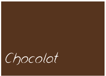 ADDICT PEINTURE ACRYLIQUE 0.5L CHOCOLAT