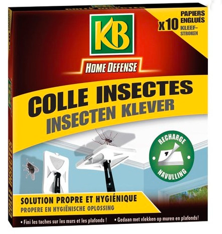 COLLE INSECTE X10 PAP