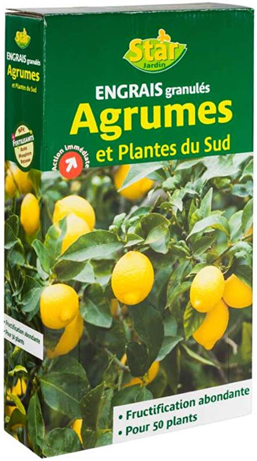 Start Engrais g/éraniums//plantes /à massif 10-8-17SK 1 kg 1kg GN1