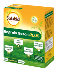 ENGRAIS GAZON  PLUS 2.5KG #
