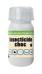 INSECTICIDE CHOC CONCENTRE 250ML +