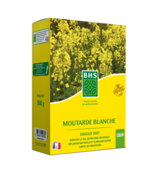 MOUTARDE BLANCHE 500GR #