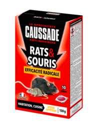 RATS ET SOURIS DIF OPERATS PAT RADICAL
