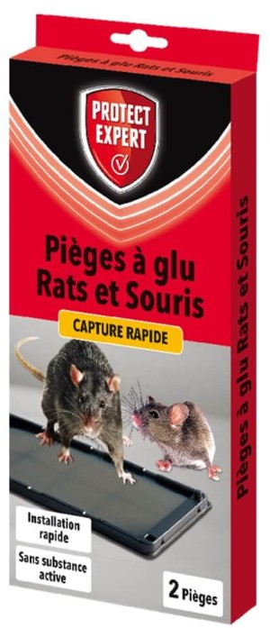 2 PIEGES A GLU RATS/ SOURIS RASOUGLU2 : JARDIPRIX: Spécialiste en  Déstockage de Jardin, Piscines, Peintures