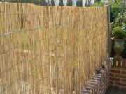 Canisse en bambou tonkin-3m de long – Bambou World