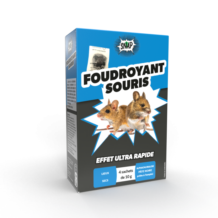SOURICIDE FOUDROYANT SNAP 4*10G